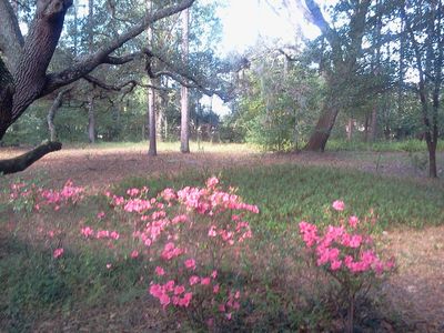 2956 Starwood Dr, Oviedo, FL, 32765