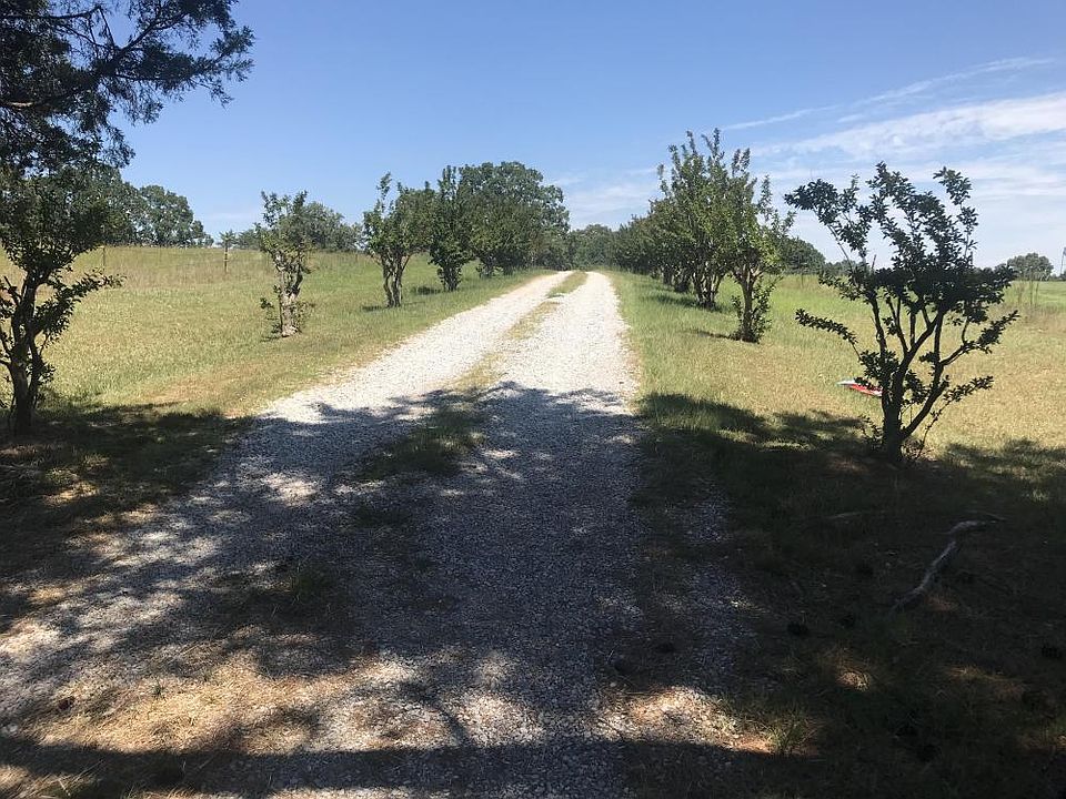 Looking east along the driveway from the front gate.