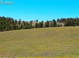 32210 Highway 9, Hartsel, CO 80449