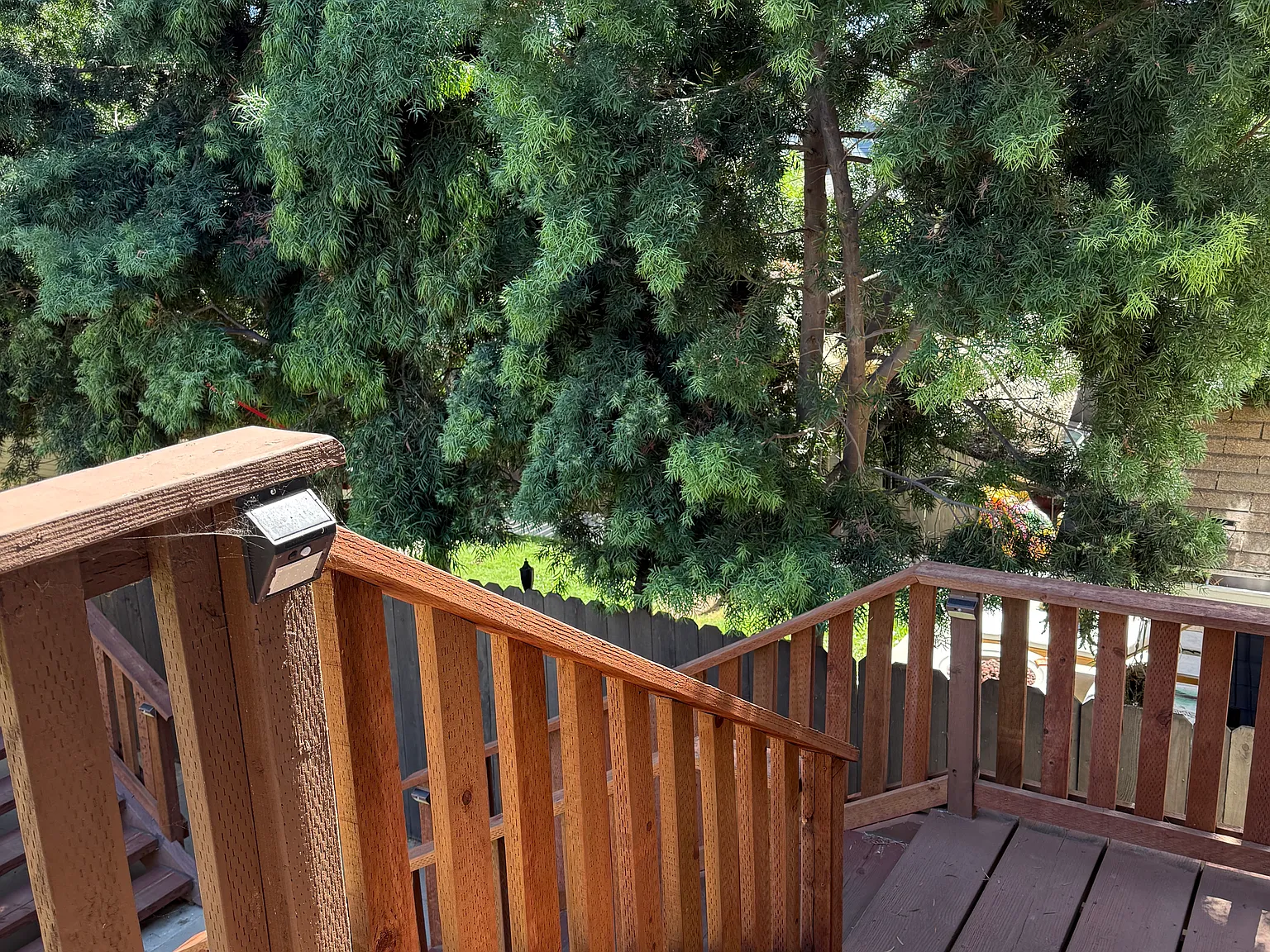 1 bed, $1,950 — Photo 4