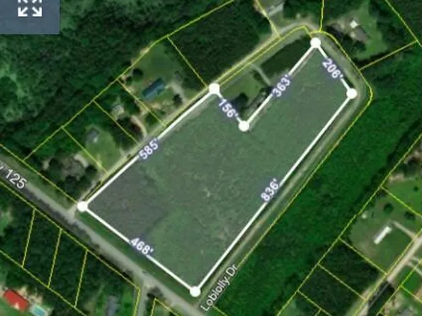 0000 Field, Loblolly Drive, Scotland Neck, NC 27874
