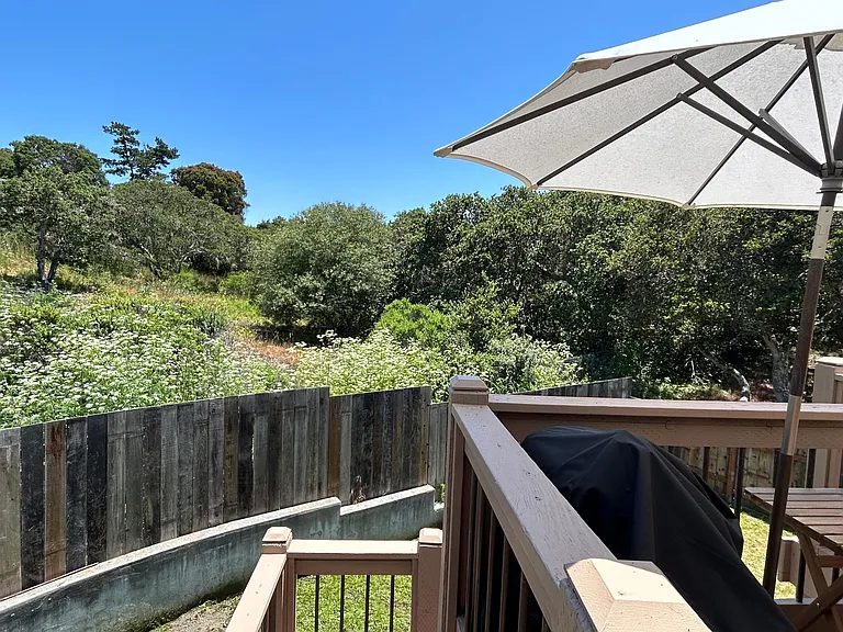 102 Laguna Pl — Photo 24