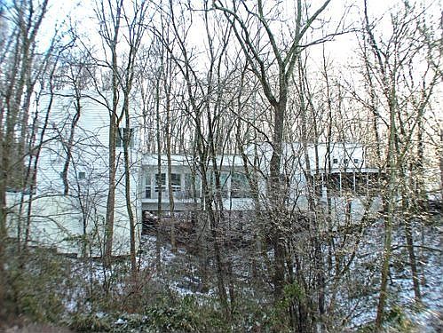 Winter in the Woods