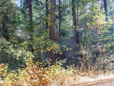 4293 Glory Hole Dr, Camino, CA, 95709