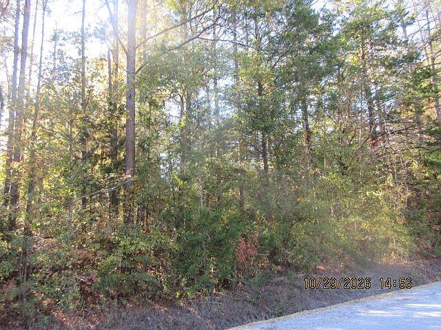 2nd image of 1460B Chapman Rd