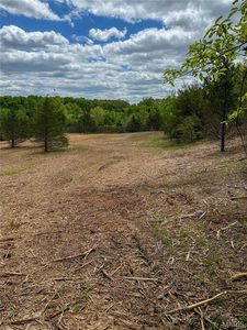 0 County Road 8190, Newburg, MO, 65550
