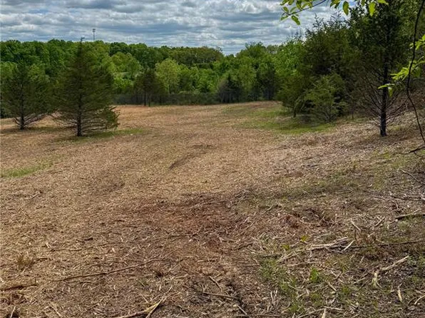 0 County Road 8190, Newburg, MO 65550