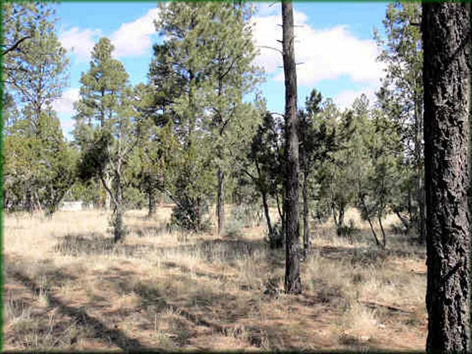 2nd image of 2864 Angel Rd
