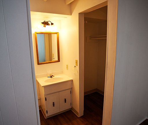 Vanity and Walk in Closet