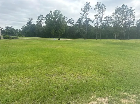30684 Blue Wing Cres, Springfield, LA 70462