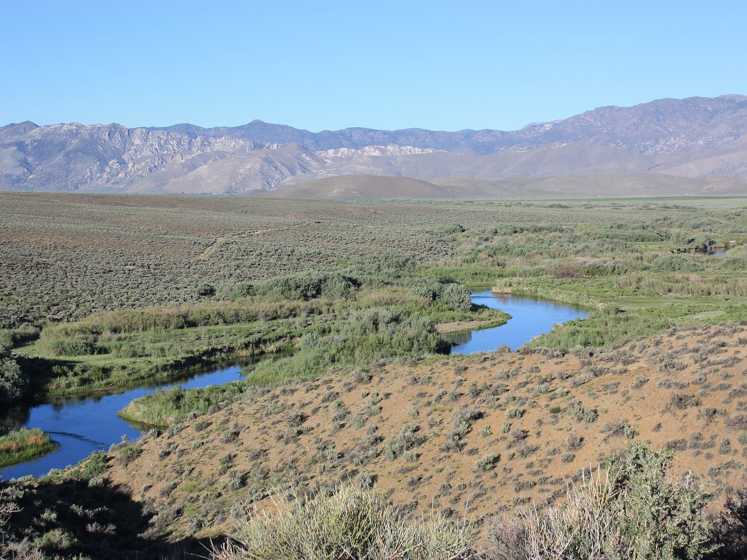 Western Nevada Riverfront Land For Sale, Gardnerville, NV 89410 Zillow