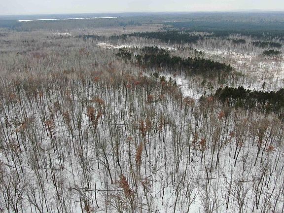 2nd image of 81.64 AC 28th St Acres