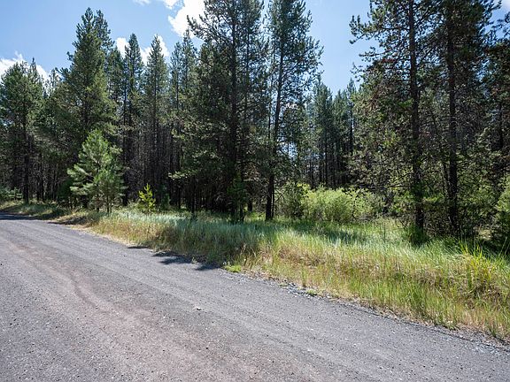 2nd image of 16345 Big Buck Ln