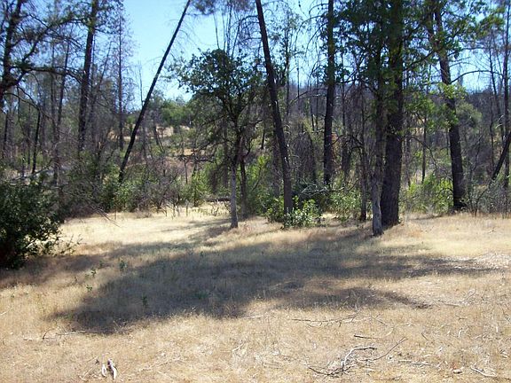 4th image of Shadow Mountain Lane Old