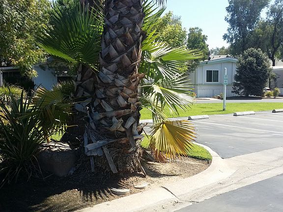 4th image of 336 E Alluvial Ave Spc 278