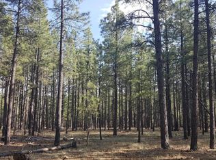 2905 W Sacred Mountain Rd, Flagstaff, AZ 86001