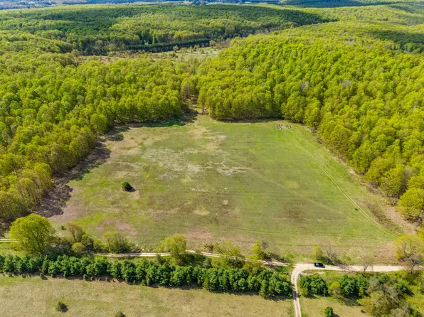 Ashley Rd, Vanderbilt, MI 49795