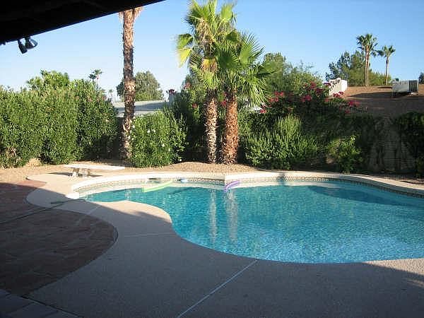 deep diving pool, private back yard, corner lot
