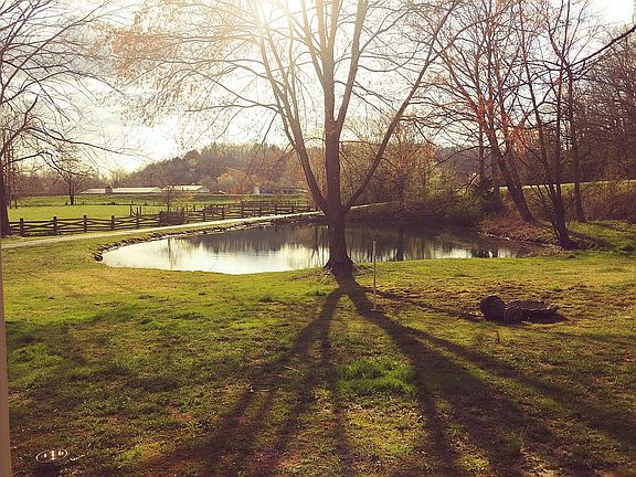 Just in time to Fish!