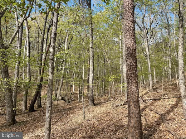 Newport Rd, Shenandoah, VA 22849