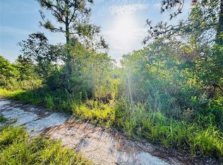 0 Shakedown St LOT 52, Saint Cloud, FL 34773