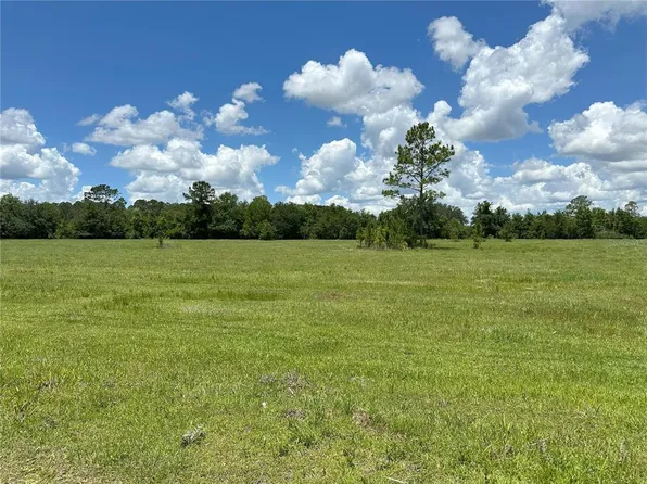 112AC NE 130th Court Rd, Fort Mc Coy, FL 32134