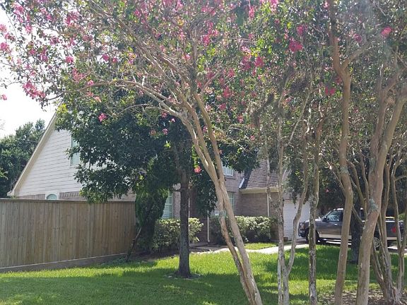 3rd image of 3003 English Oaks Blvd