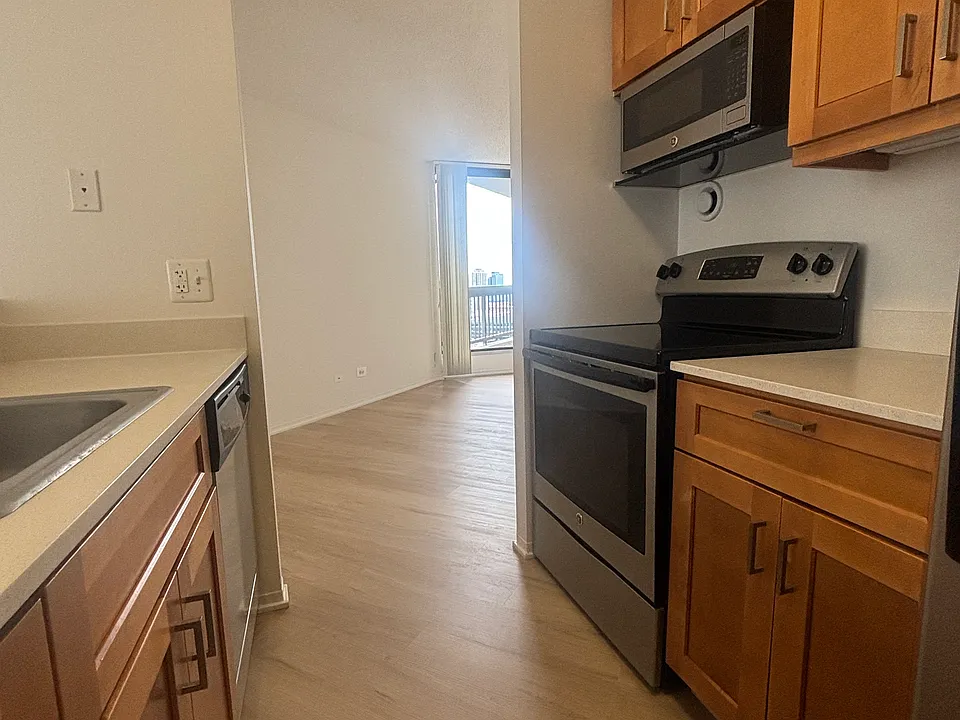 745 N Dearborn St #1003