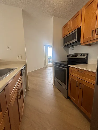 745 N Dearborn St #1003 Photo 1