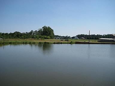 Pond for Swimming