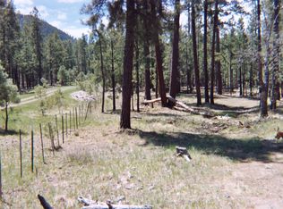 X, Alpine, AZ 85920