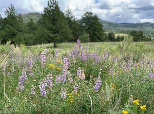 Tbd Schulze Ranch Rd, Westcliffe, CO 81252