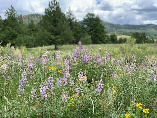 Tbd Schulze Ranch Rd, Westcliffe, CO 81252