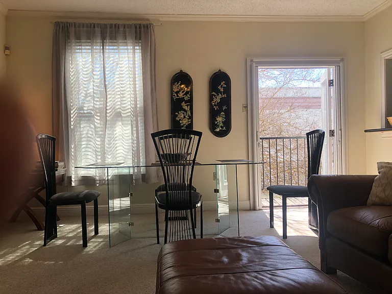 323 Morgan St #FURNISHED — Photo 21