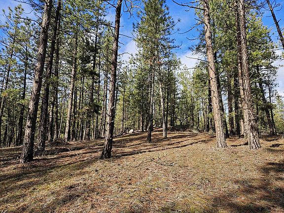 2nd image of 5687 Corkscrew Canyon Rd