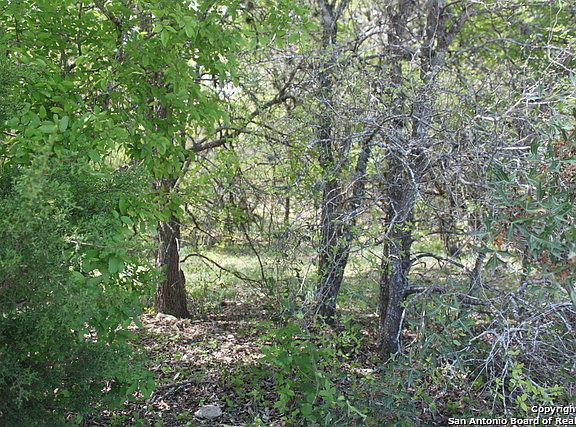 4th image of 11706 Blazing Sunset St