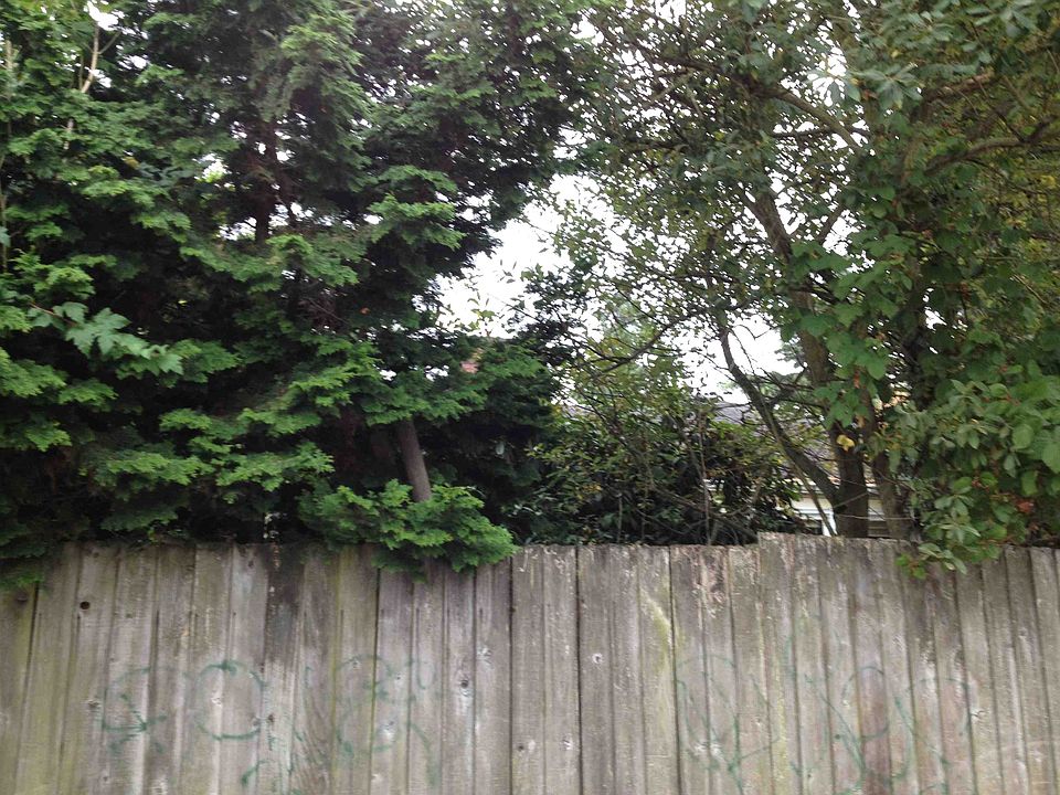 2nd image of 7359 33rd Ave NE