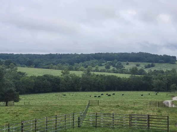 9551 C-Highway Ff, Mountain Grove, MO 65711