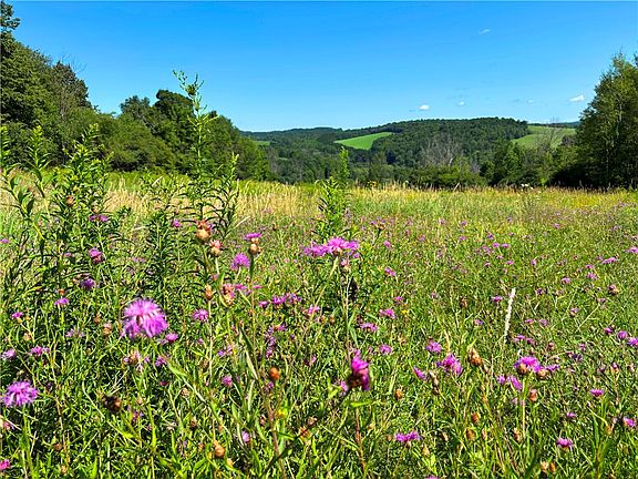 5th image of LOT 20.111 Billings Hill Rd #20