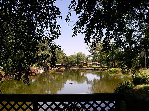 Another view of the lake from the dock.