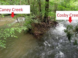 110 Caney Creek Rd, Cosby, TN 37722