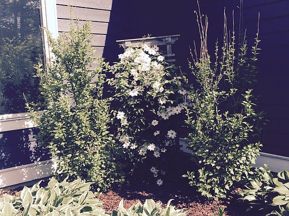 2nd image of 1880 Blue Isle Ct