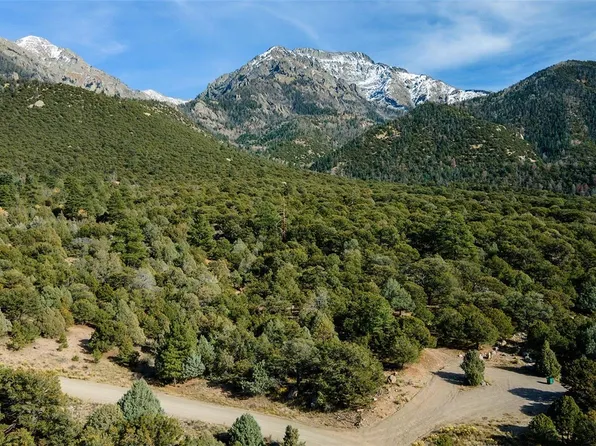 1262 Forest Grove LOT 1262, 1263, Crestone, CO 81131