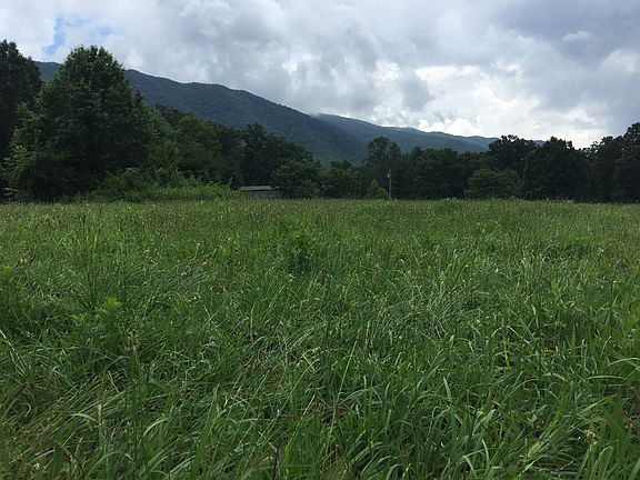 View from back of the field.