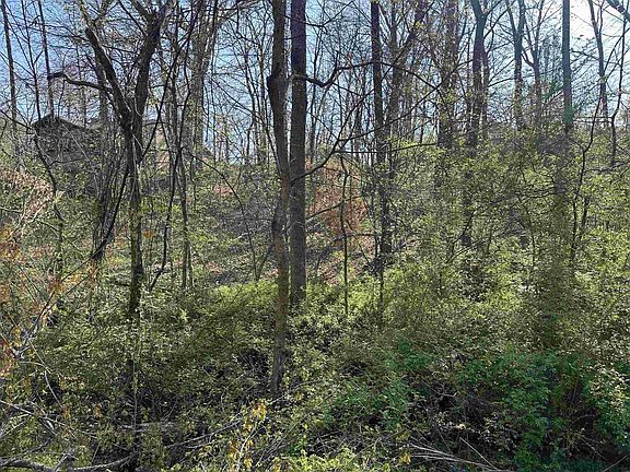 5th image of 0 Crump Landing Rd Lot 2