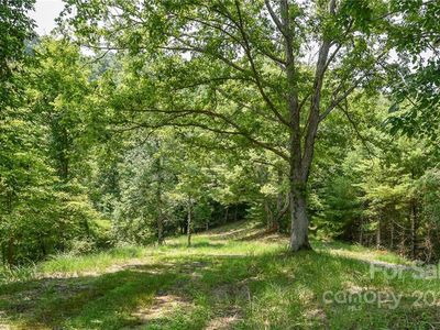 492 The Vines Blvd #14, Marshall, NC, 28753