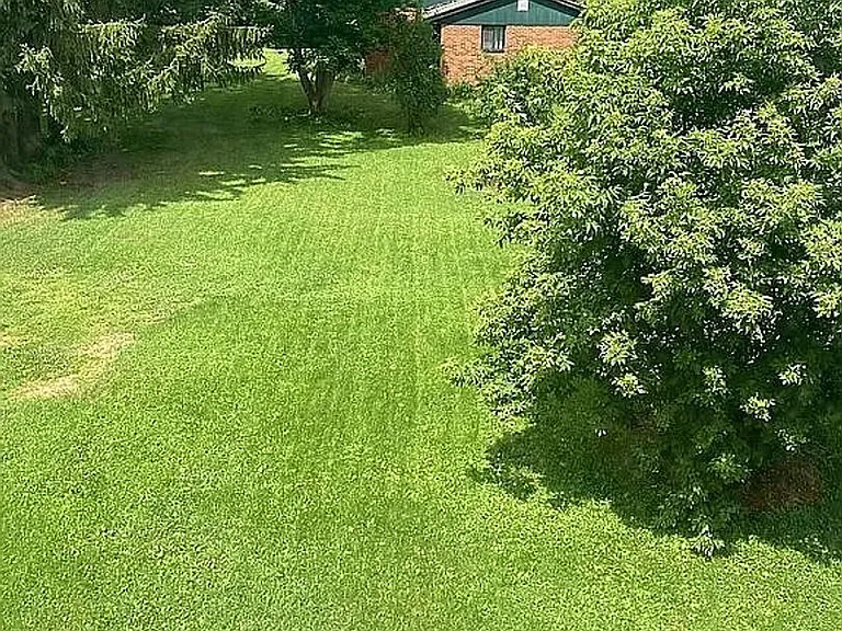 504 Freiburger Ave — Photo 7