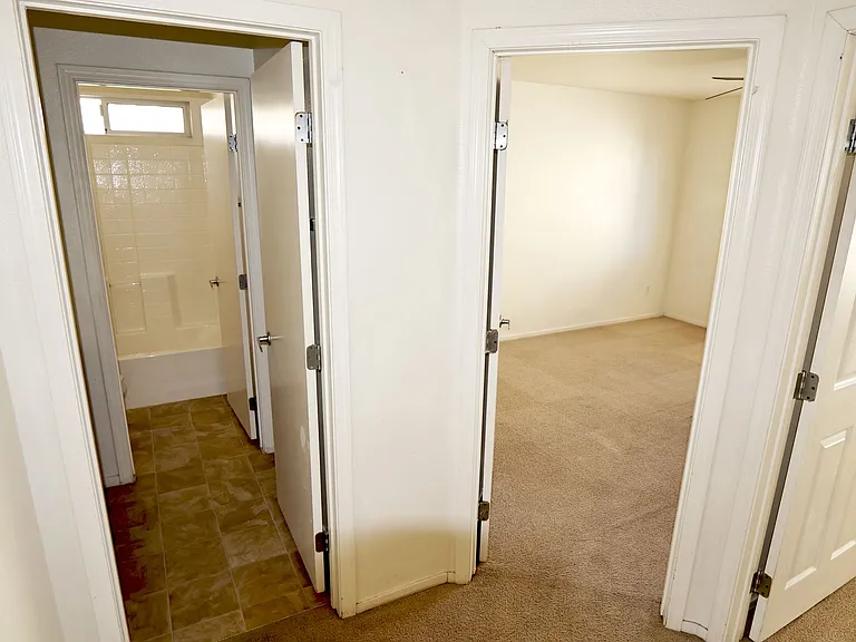6206 Standing Elm St — Photo 10