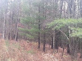 2nd image of 26 Oakridge Dr