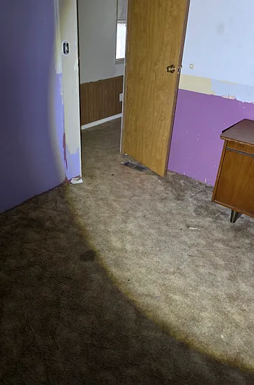 2 bed, 1.0 bath, $1,200 — Photo 4